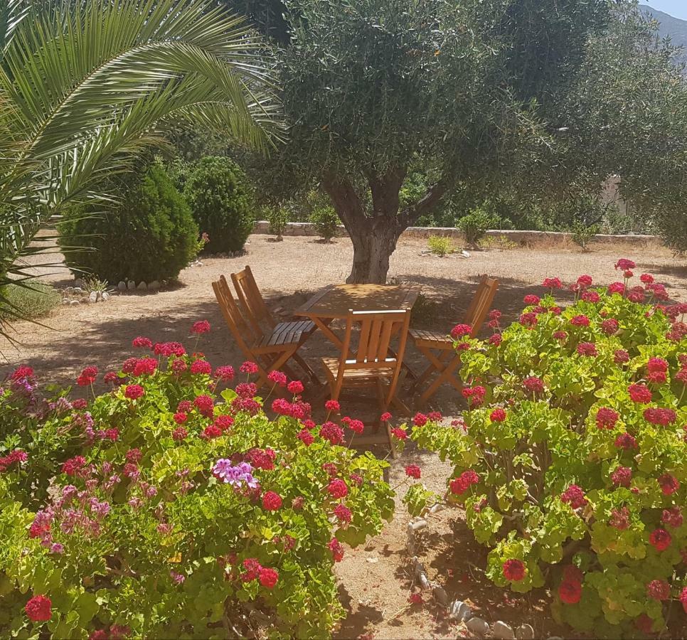 Livadia  Tilos Fantasy المظهر الخارجي الصورة
